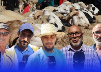 عيد الأضحى 2022 .. موجة غلاء تضرب سوق المواشي بمدينة سلوان بإقليم الناظور