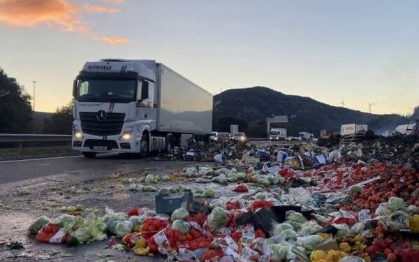 مزارعون إسبان يقودون حملة لتشويه المنتجات الفلاحية المغربية