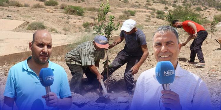 استمرار حملة التشجير بجنبات واد سيدي عثمان بزايـو – فيديو