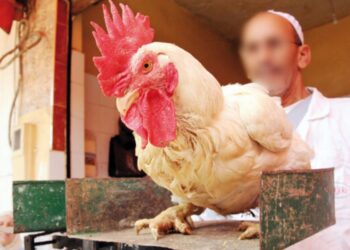 الحكومة تدافع عن جهودها في استقرار الأسعار وتطمئن المغاربة قبيل رمضان