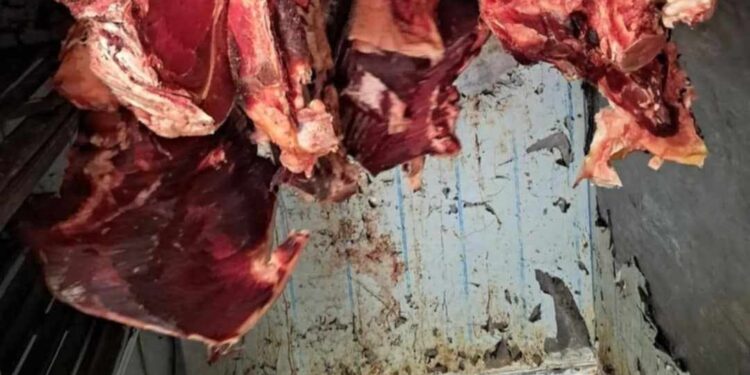 بالصور.. حجز لحوم حمراء فاسدة معدة للاستهلاك بتافوغالت بإقليم بركان