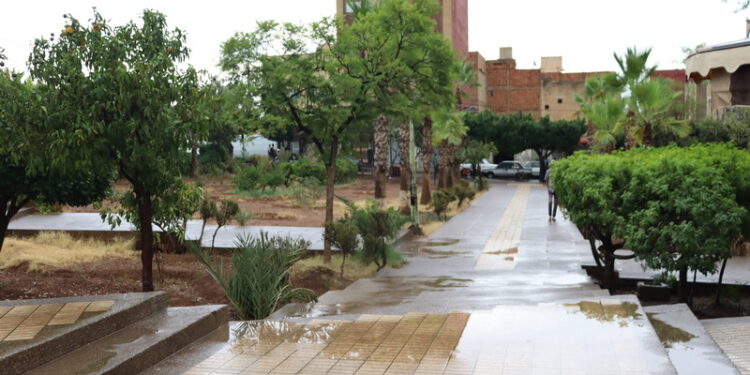 أمطار الخير تُبهج الفلاحين بزايو بعد تسجيل 12.1 ملم صباح اليوم