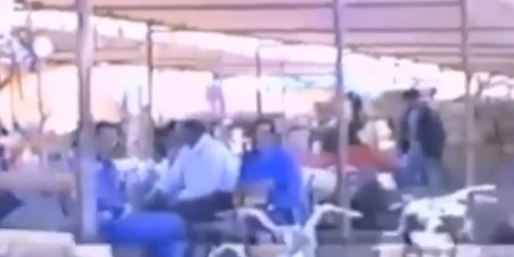 ذاكرة زايو..شريط فيديو نادر يعرض مشاهد من السوق القديم بزايو