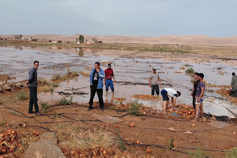 عاصفة رعدية مدمرة تجتاح “گيگو” ببولمان وتتلف عشرات الهكتارات من محاصيل البصل