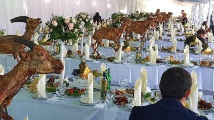 فيديو “لحم الغزال” بزفاف نجل مبديع يفجّر الجدل من جديد داخل محكمة الدار البيضاء