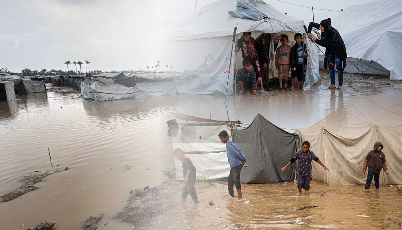 مأساة إنسانية :بردٌ قاتل وأنقاض تحصد الأرواح… مصرع 13 شخصاً في غزة وارتفاع حصيلة الضحايا