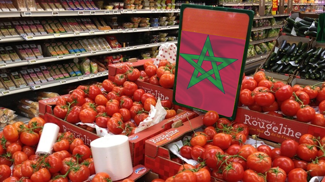 هجوم جديد على الطماطم المغربية بإسبانيا