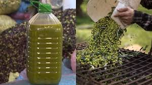 انخفاض قياسي في أسعار زيت الزيتون وسط تحذيرات من “الشناقة” واستغلال وفرة الموسم