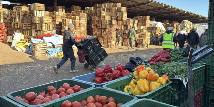 لماذا ارتفعت أسعار الخضر بالدار البيضاء رغم التساقطات المطرية الغزيرة؟