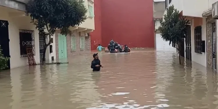 بأزيد من 80 ملم.. طنجة تتصدر مقاييس الأمطار المسجلة بالمملكة خلال الـ 24 ساعة الماضية