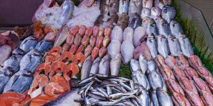 برلمانية تنبه إلى ارتفاع “غير مبرر” في أسعار السمك خلال رمضان