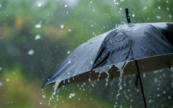 مقاييس التساقطات المطرية بالمملكة في 24 ساعة
