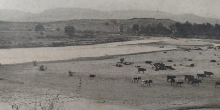 صورة وحكاية: حين كانت الطبيعة تزخر بالحياة في محيط زايو