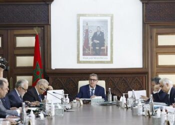 الحكومة تصادق على مرسوم دعم ترشيحات الشباب دون 35 سنة