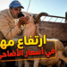 رحبة الماشية بزايو تغلِي قبل العيد.. مواطنون عاجزون عن شراء الأضحية بسبب الغلاء – فيديو