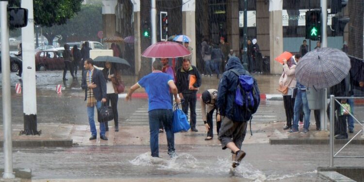 مقاييس الأمطار المسجلة بالمملكة خلال الـ 24 ساعة الماضية