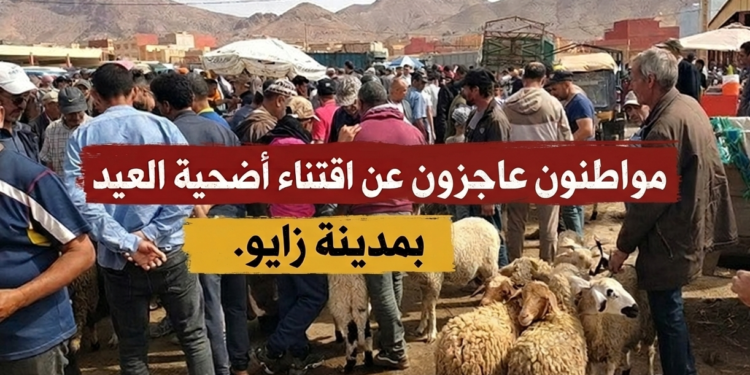 قبل ساعات من العيد.. مواطنون بزايو في سباق مع الزمن لاقتناء “الحُولي” والأسعار خيالية – فيديو