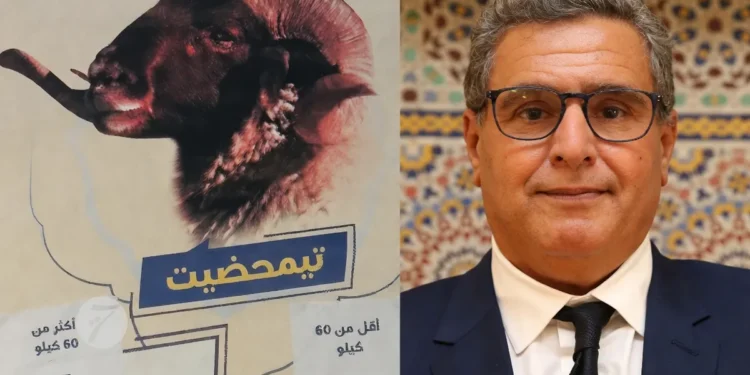 قرار يسمح للحكومة بفرض بيع أضاحي عيد الأضحى بالكيلو في الأسواق المغربية للسيطرة على الأسعار