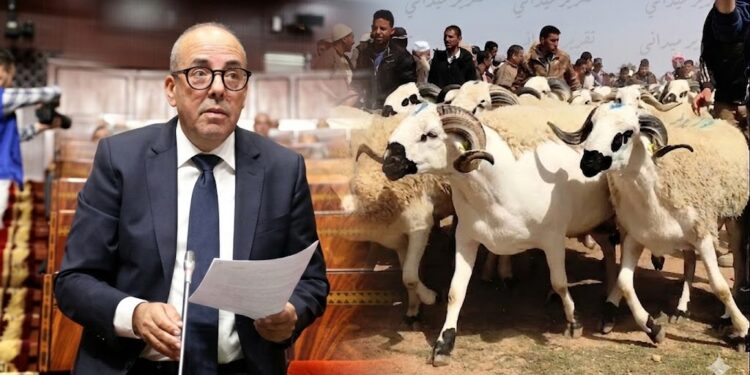 البواري وزير الفلاحة: الحولي موجود بـ1000 درهم.. أنا عارف وكنخرج للأسواق