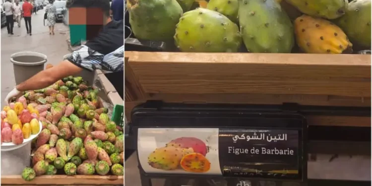 “التين الشوكي” من فاكهة الفقراء إلى رفوف المتاجر الكبرى بأسعار خيالية