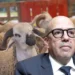 “المغاربة كاملين غيلقاو الحولي موجود”.. تصريح وزير الفلاحة يكشف الفجوة بين الواقع والكلام