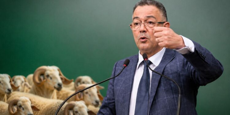 لقجع يكشف تفاصيل دعم ضخم للكسابة لضبط أسعار الأضاحي