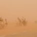نشرة إنذارية.. رياح قوية مرتقبة بهذا المناطق المغربية