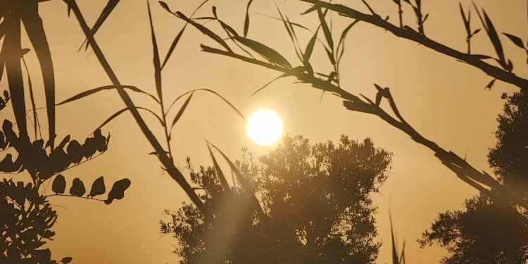 من بينها وجدة.. هذه المدن الأكثر حرارة بالمغرب غداً الثلاثاء والحرارة تلامس 42°