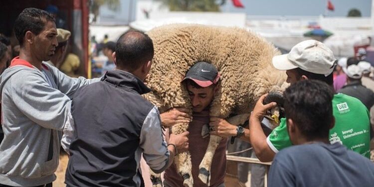 المغاربة سحبوا ما بين 4 و 5 مليار درهم قبل العيد لاقتناء الأضحية