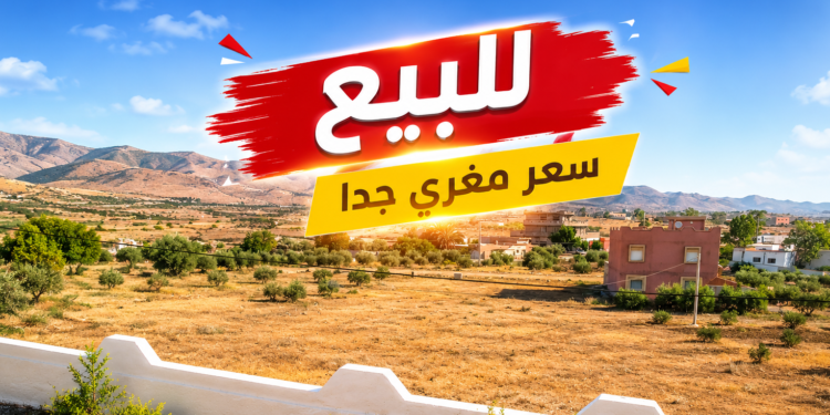 للسكن أو الاستثمار الفلاحي.. قطعة أرضية للبيع بسعر مُغرٍ جداً بضواحي زايو