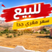 للسكن أو الاستثمار الفلاحي.. قطعة أرضية للبيع بسعر مُغرٍ جداً بضواحي زايو