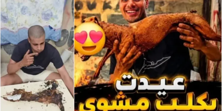 ذبـــ.ـح كلـب عوض كبش صبيحة عيد الأضحى يجر انتقادات واسعة لـ«بن نسنس» ومطالب بالمحاسبة
