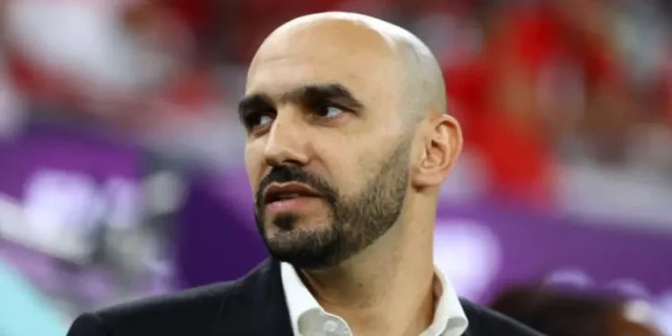 قبل مواجهة البرازيل.. لماذا لا ينسى المغاربة فضل وليد الركراكي؟