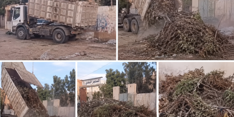 فيديو يوثق تفريغ الحطب وسط حي باكريم بزايو واستياء واسع بين الساكنة- فيـديـو