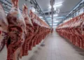 خطوة لضبط الأسواق وتأمين الأسعار.. المغرب يواصل إعفاء واردات اللحوم الحمراء من الرسوم الجمركية
