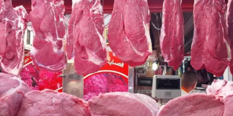 الحكومة: كل اللحوم المستوردة من الخارج تخضع لمراقبة صحية صارمة