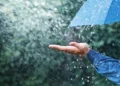 مقاييس الأمطار المسجلة بالمغرب خلال الـ 24 ساعة الماضية
