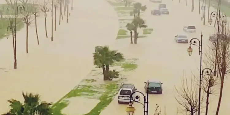 قبل حلول فصل الشتاء.. دراسة تحذر من فيضانات يصل عمقها إلى مترين بهذه المدن
