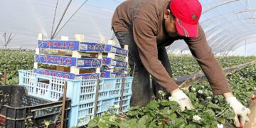 العمال الأجانب في إسبانيا يسجلون رقما قياسيا والمغاربة في الصدارة