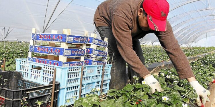 العمال الأجانب في إسبانيا يسجلون رقما قياسيا والمغاربة في الصدارة