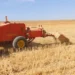 “الصمايم” تختبر صمود الفلاحة المغربية أمام المياه والتكاليف والحرارة