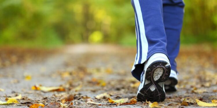ماذا يحدث لجسمك عند التوقف عن المشي بعد سن الأربعين؟