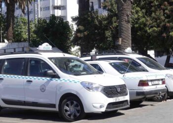 الحكومة تتحرك مجدداً لدعم مهنيي النقل.. تفاصيل الدفعة الجديدة