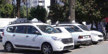 الحكومة تتحرك مجدداً لدعم مهنيي النقل.. تفاصيل الدفعة الجديدة