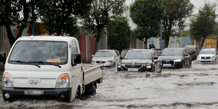 مقاييس مهمة.. أمطار الخير تسقي عدة مناطق بالمملكة وتنعش الآمال