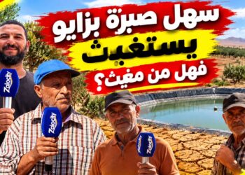 سهل صبرة بزايو يستغيث.. العطش يهدد المحاصيل والفلاحون في مواجهة الخسائر