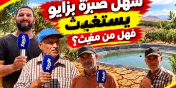 سهل صبرة بزايو يستغيث.. العطش يهدد المحاصيل والفلاحون في مواجهة الخسائر