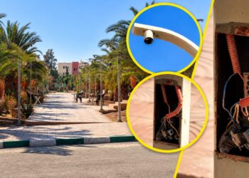 أسلاك كهربائية مشكوفة بحدائق شارع النصر بزايو.. مخاوف من حوادث تهدد سلامة المواطنين – فيديو