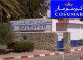 معمل السكر بزايو يكشف عن مساهمة اقتصادية بمليار درهم وفرص شغل واسعة بالجهة الشرقية