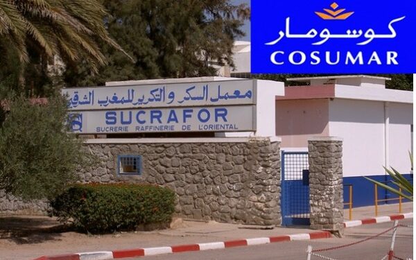 معمل السكر بزايو يكشف عن مساهمة اقتصادية بمليار درهم وفرص شغل واسعة بالجهة الشرقية